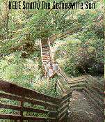 The Devil's Millhopper