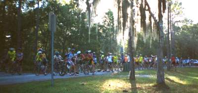 The lead pack awaits.