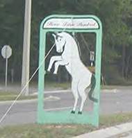 Horse on University Avenue