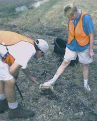 What's under this rock?