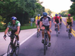 The front of the pack