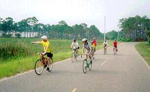 Look, there's an alligator!